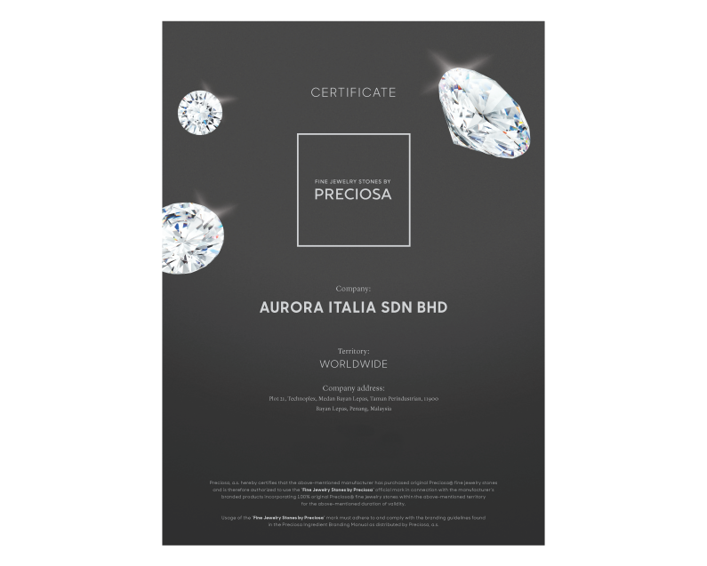 Auroses Frosty Earrings